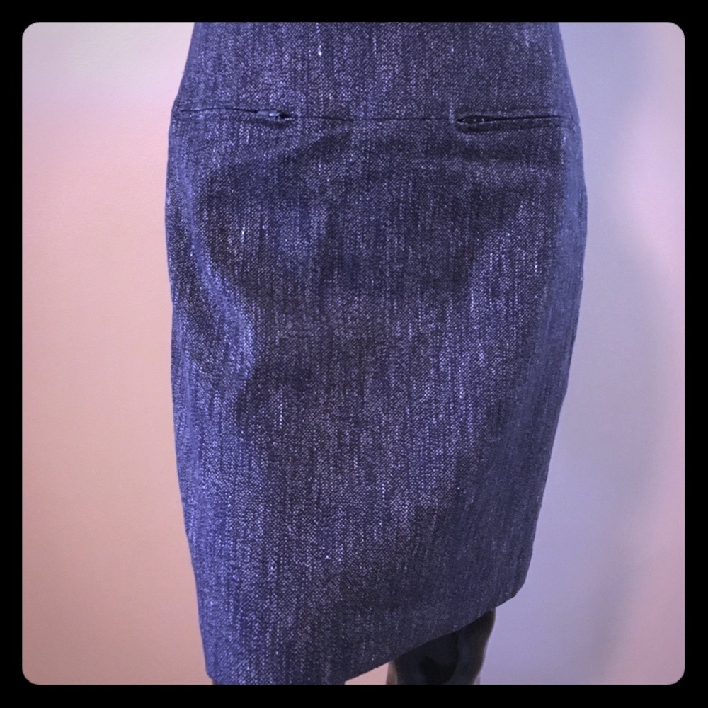 Ann Taylor skirt